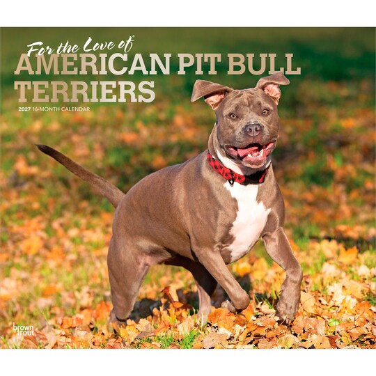BrownTrout; For the Love of American Pit Bull Terriers | 2027 14 x 24 Inch (Hanging) Monthly Deluxe Wall Calendar | Foil Stamped Cover | Plastic-Free; Category:Wall Calendars; Image:1